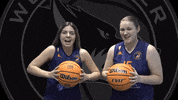 Happy Lets Go GIF by Worcester Wolves