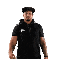 National Football League Sticker by NFL