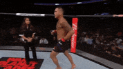 anthony pettis ufc GIF