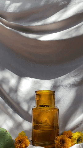 GIF by ayshabilgrami