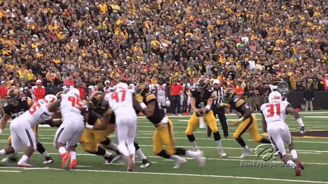 Iowa Hawkeyes Hawks GIF by University of Iowa Hawkeyes Athletics