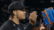 Happy Ny Mets GIF by New York Mets