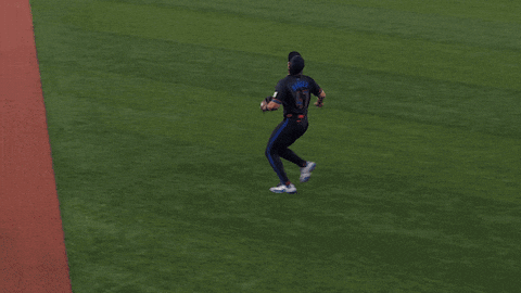 Blue Jays Mlb GIF by Toronto Blue Jays