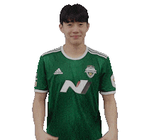 jeonbuk1994 하트 jeonbuk 전북현대 전북 Sticker