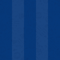 Football Soccer GIF by Odense Boldklub