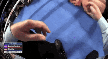 toprank fight boxing fighting champion GIF