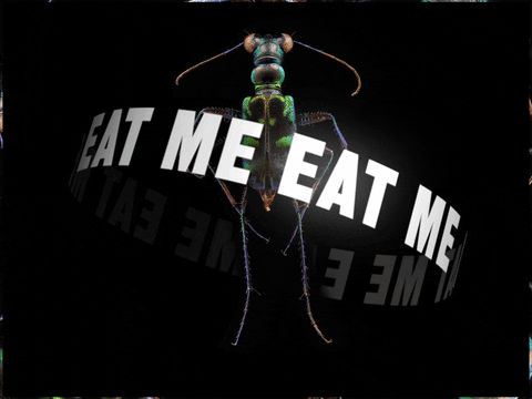 ALLCAPSCAROLINE giphyupload hungry digital dinner GIF