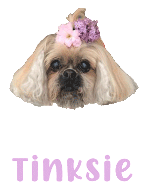 Dog Sticker