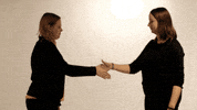 cowsandstars awkward handshake awkward handshake cowsandstars GIF