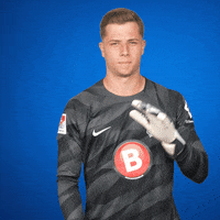 Come On Bundesliga GIF by Hertha BSC