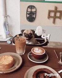 Coffee Time Cafe GIF