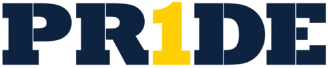 Basketball Pride Sticker by Clarke University