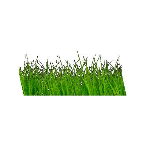 outsidepride giphygifmaker nature garden grass Sticker
