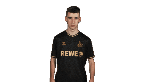 Football Sport Sticker by Bundesliga