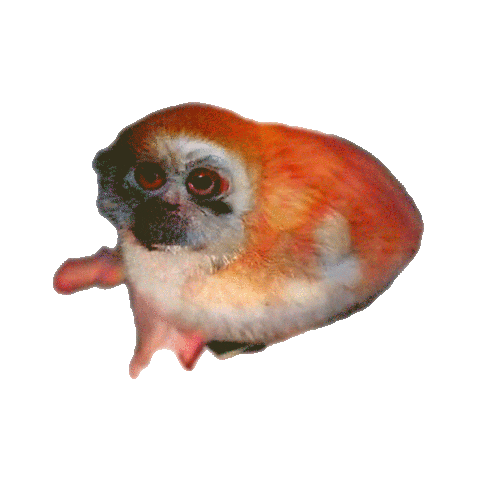 sangdefleur giphyupload Sticker