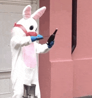 New Orleans Louisiana GIF