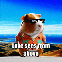 Compassion Love GIF by Guinea Gambino