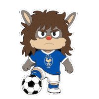 World Cup Football Sticker