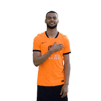Ing Sticker by INGNederland