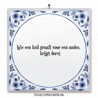 Humor Nl GIF by Tegelspreuken.nl