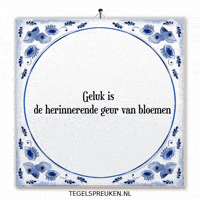 Moment Nl GIF by Tegelspreuken.nl