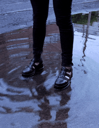GIF by Jaime Martinez