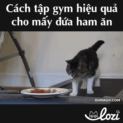 bu GIF by Lozi Singapore Co.