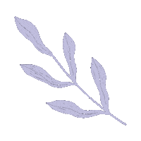 Illustration Leaves Sticker