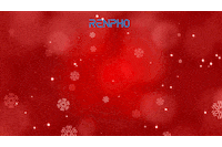 Merry Christmas GIF by RENPHO