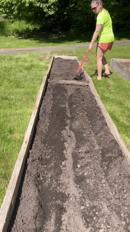 cedarflatsflowerfarm giphyupload GIF