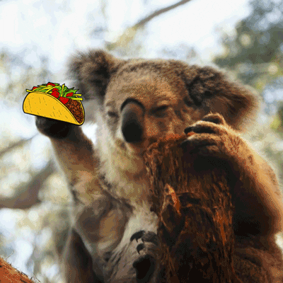 t-bell tacos GIF by Taco Bell