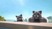 TeamTO love funny fun cute GIF