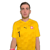 Switzerland Suisse Sticker by Swiss Football Association