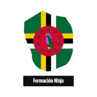 Flag Bandera Sticker by Formación Ninja