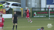 Celebration Congratulations GIF by Cliftonville Football Club