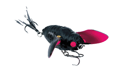 Ripple Cicada Sticker by Chasebaits