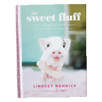 Book Pastel Sticker by Live Sweet