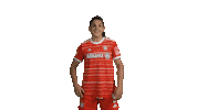 Champions League Yes Sticker by FC Bayern Women