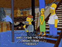 homer simpson GIF