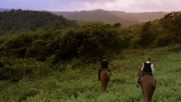 Steve Mcgarrett Tani Rey GIF by CBS