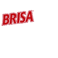 linhabrisa brisa linha brisa brisa limpeza detergente brisa Sticker