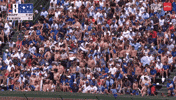 Excited Chicago Cubs GIF