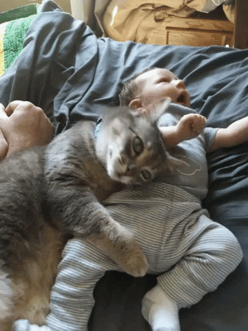 jermbly giphyupload GIF