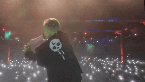 Crowd Waving GIF by Better Noise Music
