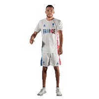 France Win Sticker by Le Coq Sportif