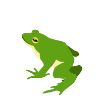 Frog Museum Sticker by NHM Wien