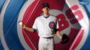 chicago cubs win GIF by NBC Sports Chicago