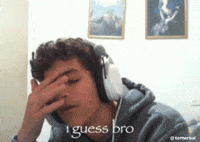 tomersui i bro guess paintings GIF