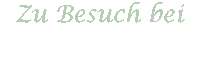 Friends Vegan Sticker by Projekt Lebenslänglich