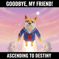 GIF by Doge Pound